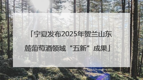 宁夏发布2025年贺兰山东麓葡萄酒领域“五新”成果