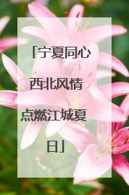 宁夏同心 西北风情点燃江城夏日