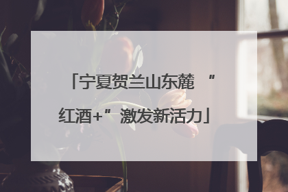 宁夏贺兰山东麓 “红酒+”激发新活力