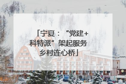 宁夏：“党建+科特派”架起服务乡村连心桥