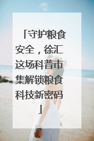 守护粮食安全，徐汇这场科普市集解锁粮食科技新密码