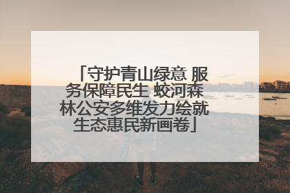 守护青山绿意 服务保障民生 蛟河森林公安多维发力绘就生态惠民新画卷