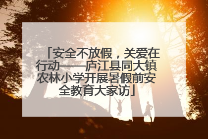 安全不放假，关爱在行动——庐江县同大镇农林小学开展暑假前安全教育大家访