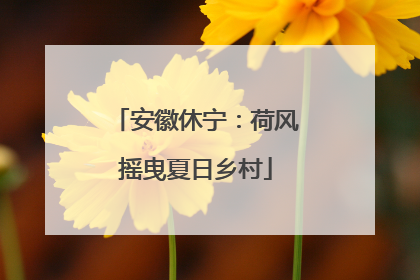 安徽休宁：荷风摇曳夏日乡村