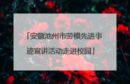 安徽池州市劳模先进事迹宣讲活动走进校园