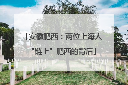 安徽肥西：两位上海人“链上”肥西的背后