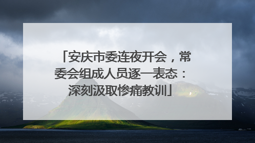 安庆市委连夜开会，常委会组成人员逐一表态：深刻汲取惨痛教训