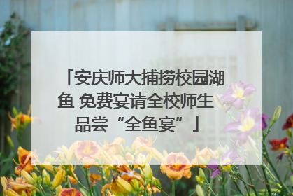 安庆师大捕捞校园湖鱼 免费宴请全校师生品尝“全鱼宴”