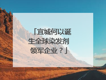 宜城何以诞生全球染发剂领军企业？
