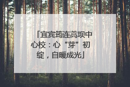 宜宾筠连蒿坝中心校：心“芽”初绽，自暖成光