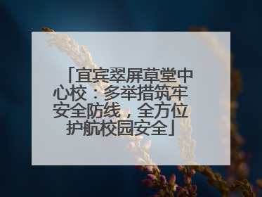 宜宾翠屏草堂中心校：多举措筑牢安全防线，全方位护航校园安全