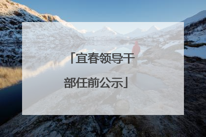 宜春领导干部任前公示