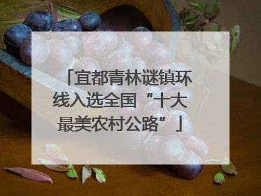 宜都青林谜镇环线入选全国“十大最美农村公路”