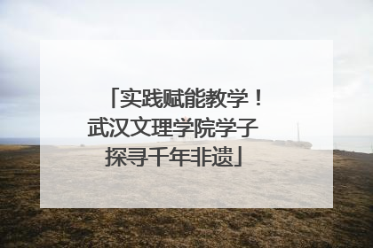 实践赋能教学！武汉文理学院学子探寻千年非遗