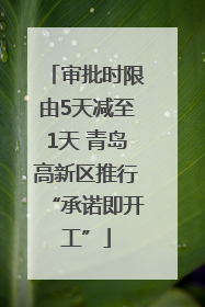 审批时限由5天减至1天 青岛高新区推行“承诺即开工”