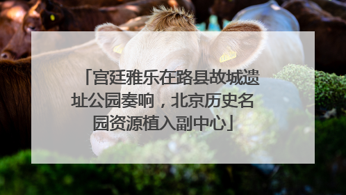 宫廷雅乐在路县故城遗址公园奏响，北京历史名园资源植入副中心