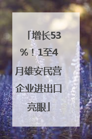 增长53%！1至4月雄安民营企业进出口亮眼