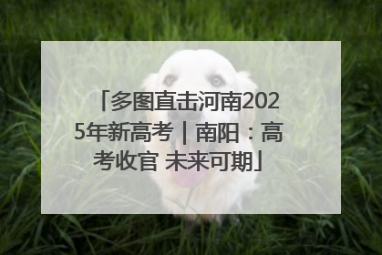 多图直击河南2025年新高考｜南阳：高考收官 未来可期