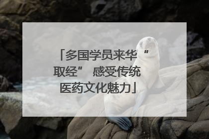 多国学员来华“取经” 感受传统医药文化魅力