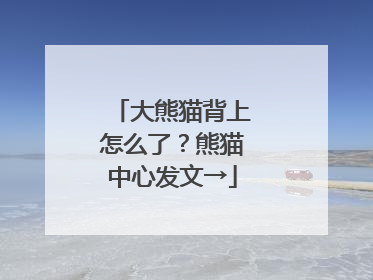 大熊猫背上怎么了？熊猫中心发文→