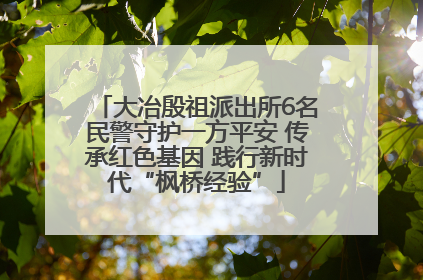 大冶殷祖派出所6名民警守护一方平安 传承红色基因 践行新时代“枫桥经验”