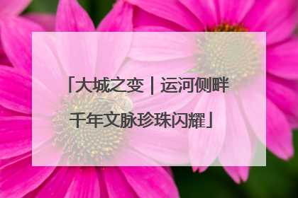 大城之变｜运河侧畔 千年文脉珍珠闪耀