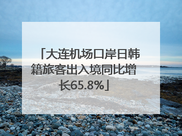 大连机场口岸日韩籍旅客出入境同比增长65.8%