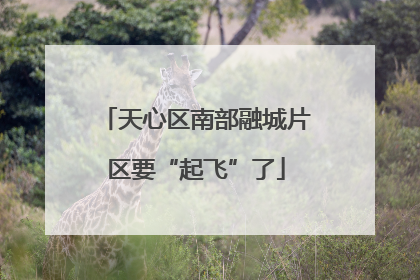 天心区南部融城片区要“起飞”了