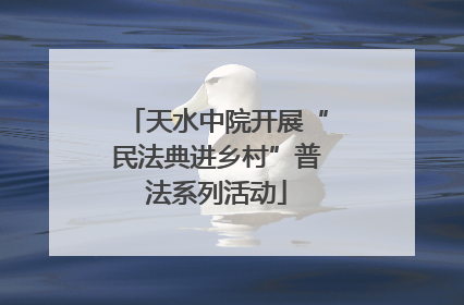 天水中院开展“民法典进乡村”普法系列活动