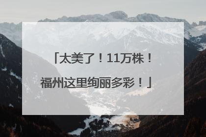 太美了！11万株！福州这里绚丽多彩！