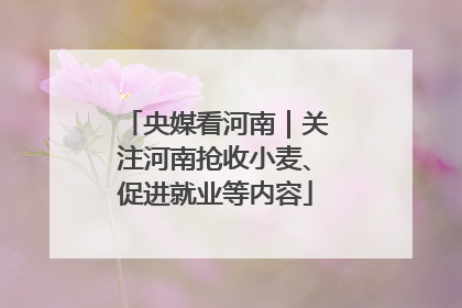 央媒看河南｜关注河南抢收小麦、促进就业等内容