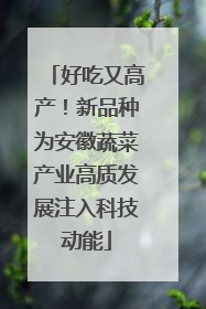 好吃又高产！新品种为安徽蔬菜产业高质发展注入科技动能