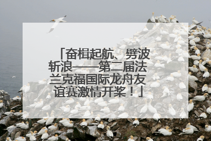 奋楫起航、劈波斩浪——第二届法兰克福国际龙舟友谊赛激情开桨！