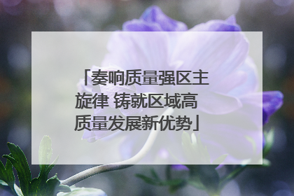 奏响质量强区主旋律 铸就区域高质量发展新优势