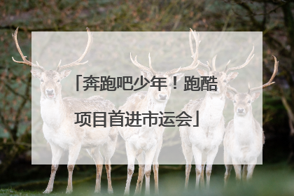 奔跑吧少年！跑酷项目首进市运会