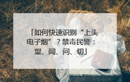 如何快速识别“上头电子烟”？禁毒民警：望、闻、问、切