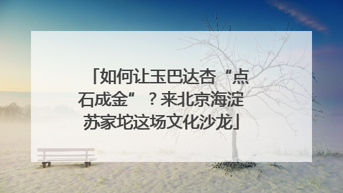 如何让玉巴达杏“点石成金”？来北京海淀苏家坨这场文化沙龙