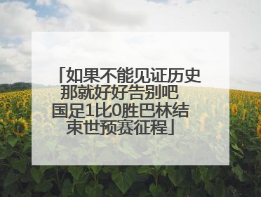 如果不能见证历史 那就好好告别吧 国足1比0胜巴林结束世预赛征程