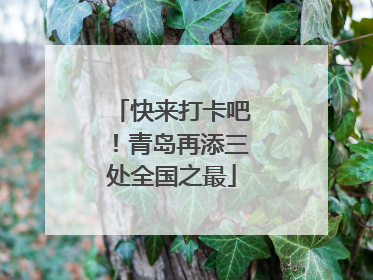 快来打卡吧！青岛再添三处全国之最