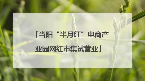 当阳“半月红”电商产业园网红市集试营业