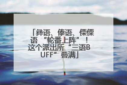 彝语、傣语、傈僳语 “轮番上阵”！这个派出所“三语BUFF”叠满