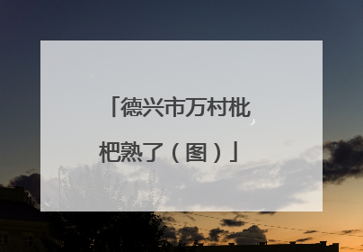德兴市万村枇杷熟了（图）