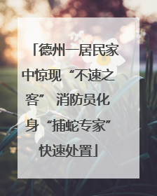 德州一居民家中惊现“不速之客” 消防员化身“捕蛇专家”快速处置