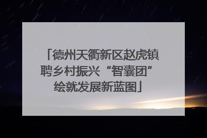 德州天衢新区赵虎镇聘乡村振兴“智囊团” 绘就发展新蓝图