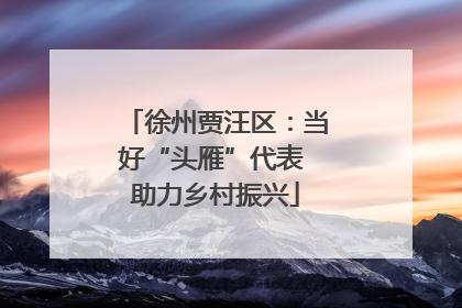 徐州贾汪区：当好“头雁”代表 助力乡村振兴