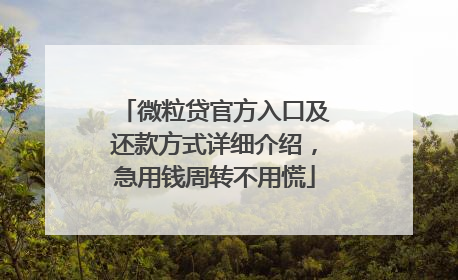 微粒贷官方入口及还款方式详细介绍，急用钱周转不用慌