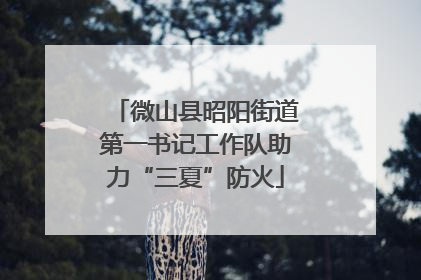 微山县昭阳街道第一书记工作队助力“三夏”防火