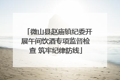 微山县赵庙镇纪委开展午间饮酒专项监督检查 筑牢纪律防线