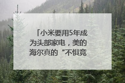 小米要用5年成为头部家电，美的海尔真的“不惧竞争”？｜热财经