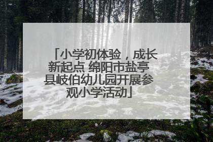 小学初体验，成长新起点 绵阳市盐亭县岐伯幼儿园开展参观小学活动